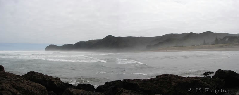 Piha coast